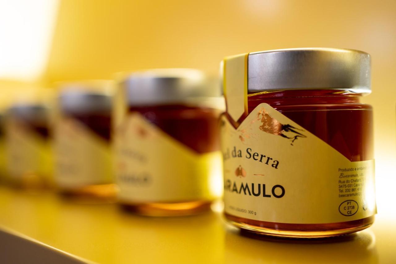 Beecaramulo-Apiturismo Villa Exteriör bild